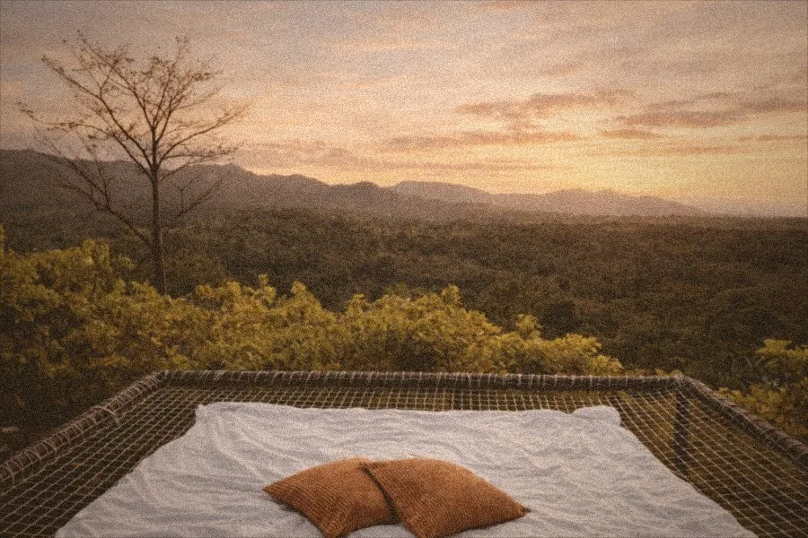 Sunset from the hammock